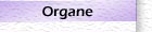 Organe