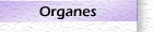 Organes