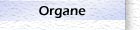 Organe