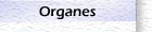 Organes